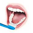 Brushing Bottom Teeth