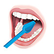 Brushing Inside Teeth