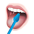 Brushing the Tongue